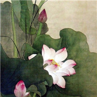 漂亮的卡通荷花图片 池塘里荷花简笔画图片