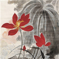 漂亮的卡通荷花图片 池塘里荷花简笔画图片