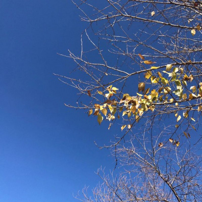 中老年人头像 蓝天白云系列