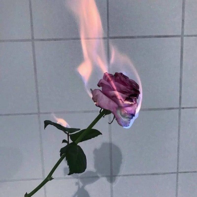 女生喜欢的头像 最受女生喜欢的头像大全