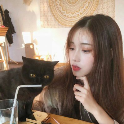 抱猫头像 高清抱猫的高冷女生头像韩系图片