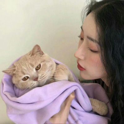 抱猫头像 高清抱猫的高冷女生头像韩系图片