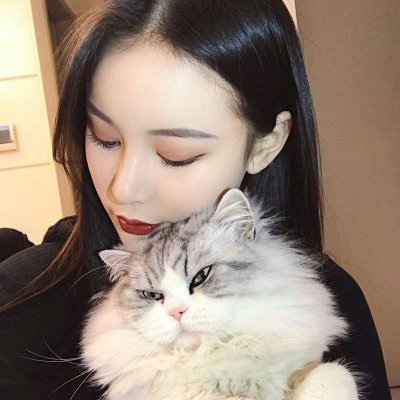 抱猫头像 高清抱猫的高冷女生头像韩系图片