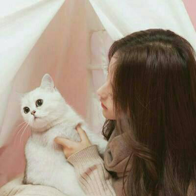 抱猫头像 高清抱猫的高冷女生头像韩系图片