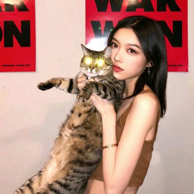 抱猫头像 高清抱猫的高冷女生头像韩系图片