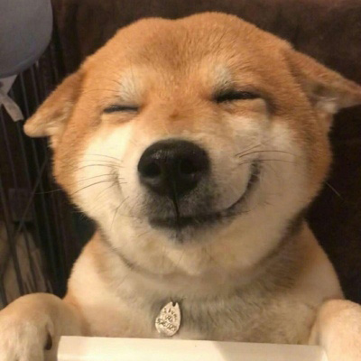 柴犬头像搞笑霸气 可爱的柴犬狗头像图片