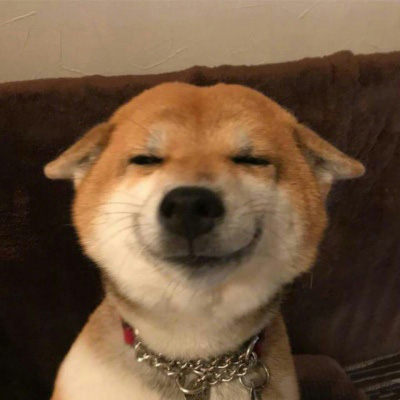 狗子头像 二狗子微信搞笑头像