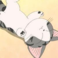 起司猫头像 甜甜猫微信头像