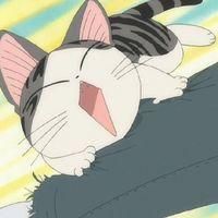 起司猫头像 甜甜猫微信头像