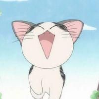 起司猫头像 甜甜猫微信头像