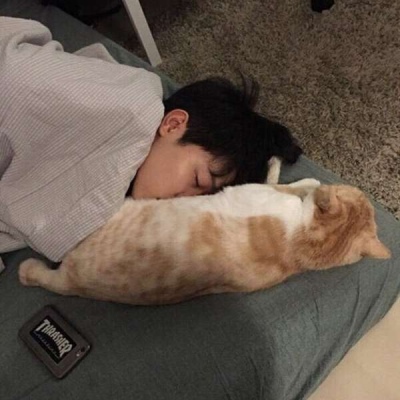 干净清爽个性男生头像用只猪什么意思图片