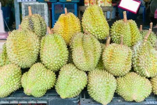 黑金鱼代表什么寓意图片