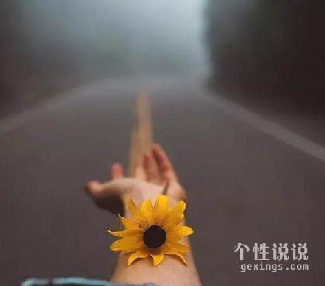 鼓励人心坚持唯美诗句 千磨万击还坚劲，任尔东西南北风