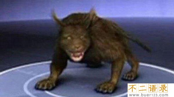 世界十大恐怖怪兽之谜,披着鱼鳞的猫发出毒气能瞬间致命(无比凶残图片
