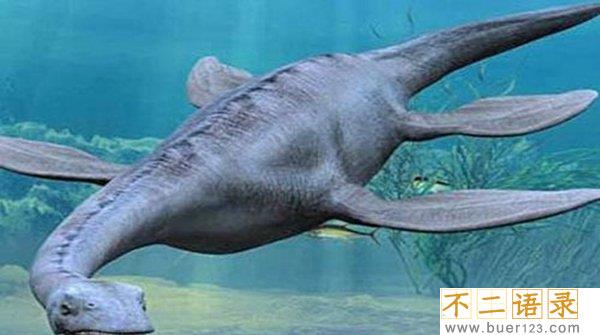 世界十大恐怖怪兽之谜,披着鱼鳞的猫发出毒气能瞬间致命(无比凶残图片