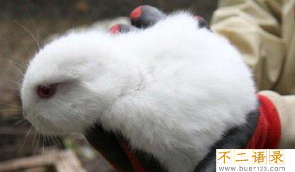 福岛核泄漏后变异女人,生出了“辐射幽灵”婴儿图片