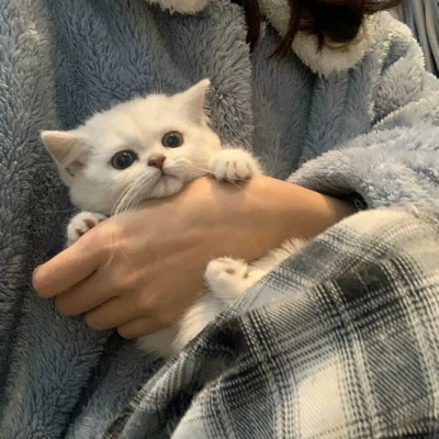 2021超可爱甜美十二个人的头像女生图片