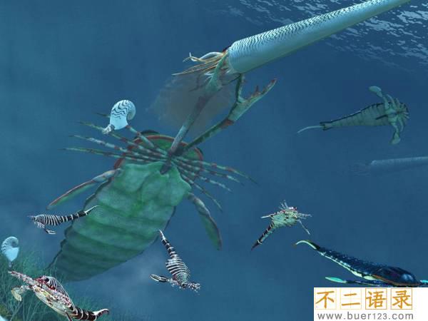 史前海洋十大霸主 旋齿鲨超强咬合力海洋中称霸图片