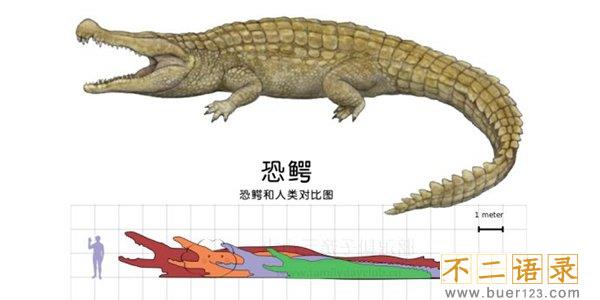 史前海洋十大霸主 旋齿鲨超强咬合力海洋中称霸图片