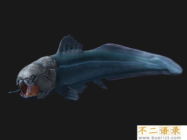 史前海洋十大霸主 旋齿鲨超强咬合力海洋中称霸图片