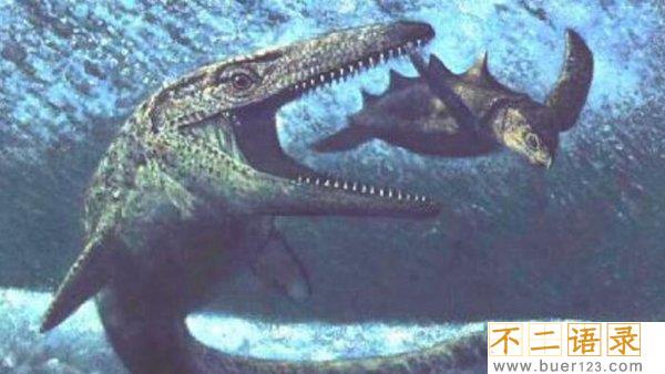 史前海洋十大霸主 旋齿鲨超强咬合力海洋中称霸图片