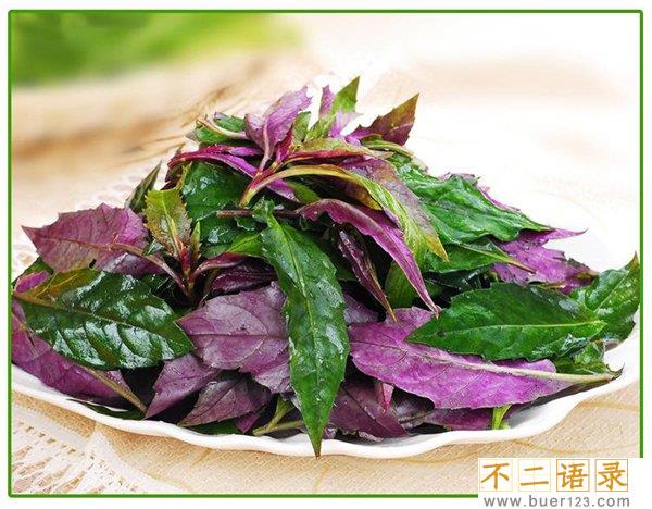 血皮菜到底有毒没？血皮菜真的致癌吗