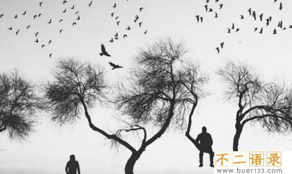 费斯汀格效应什么意思?费斯汀格法则心得体会