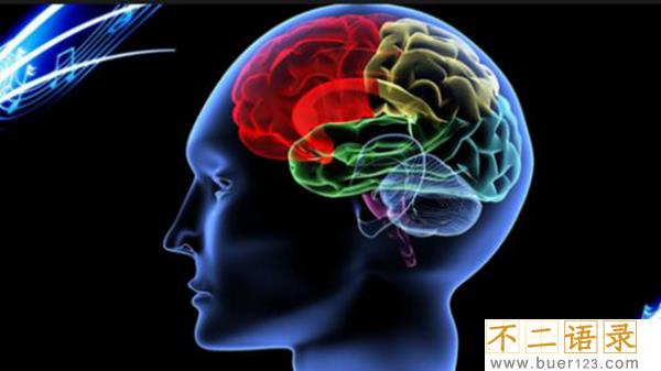 开发右脑潜能是骗局吗?开发右脑的十种方法图片