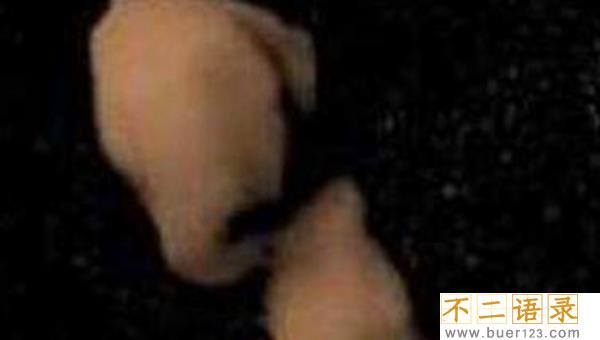 艳后星不是圆形的?还有哪些特别小行星存在图片