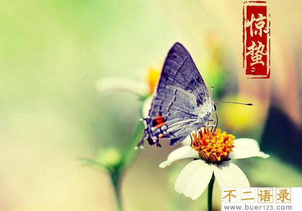 惊蛰是什么意思?惊蛰为什么称为惊蛰含义是什么图片