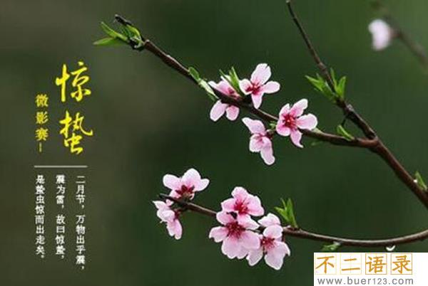 惊蛰是什么意思?惊蛰为什么称为惊蛰含义是什么图片