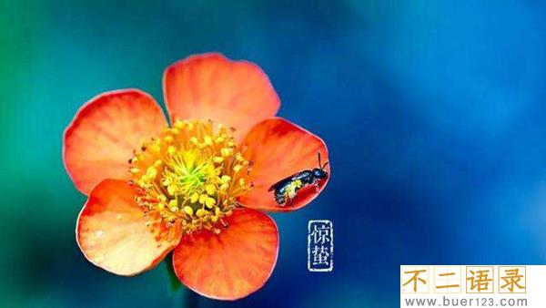 惊蛰是什么意思?惊蛰为什么称为惊蛰含义是什么图片