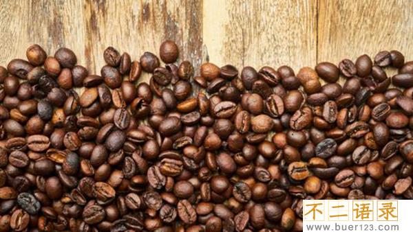 可可豆和咖啡豆的区别?可可豆和咖啡豆是一种东西吗图片
