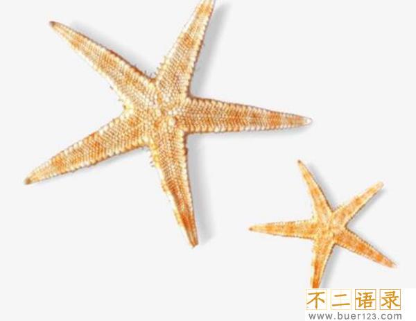 海星能吃吗有什么好处?海星的功效与作用有哪些图片
