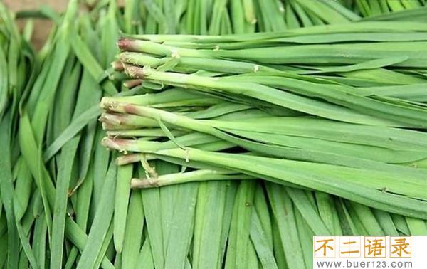 多吃韭菜真的可以壮阳吗?韭菜壮阳的说法从何而来图片