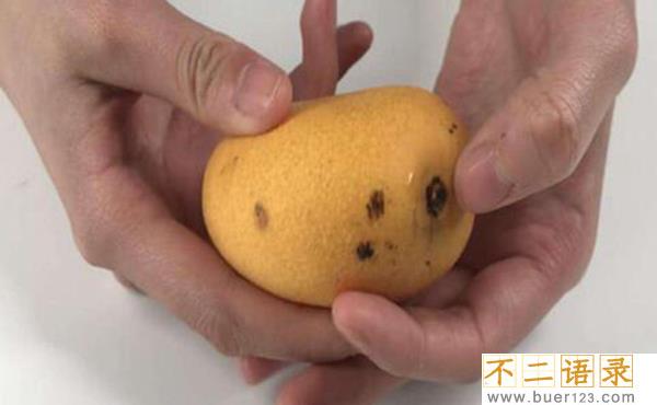 芒果皮可以吃吗 可以（不仅不会伤害身体反而好处多）