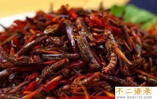 炸蚂蚱哪里不能吃 全身都可以吃（味道虽好不要过量）图片