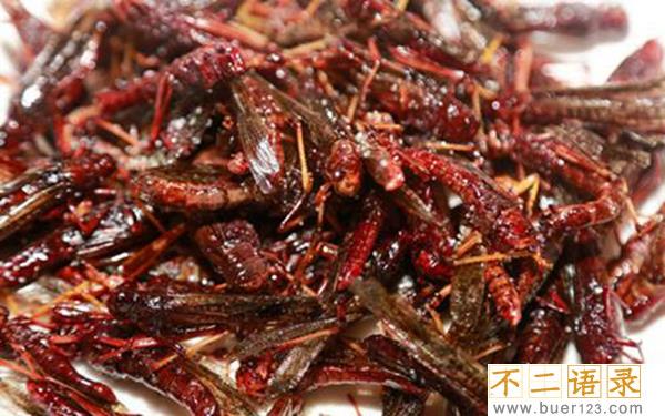 炸蚂蚱哪里不能吃 全身都可以吃（味道虽好不要过量）