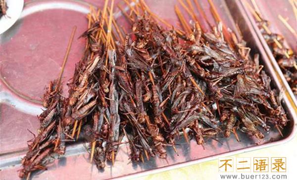 炸蚂蚱哪里不能吃 全身都可以吃（味道虽好不要过量）图片