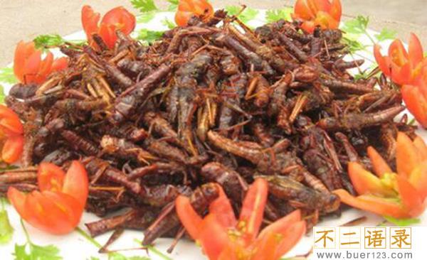 炸蚂蚱哪里不能吃 全身都可以吃（味道虽好不要过量）图片