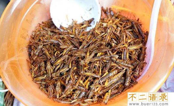 炸蚂蚱哪里不能吃 全身都可以吃（味道虽好不要过量）图片