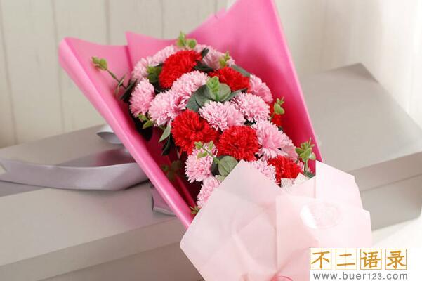 肥皂花可以用来干嘛 肥皂花只能用来洗手吗图片