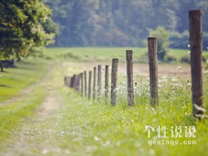 描写阳光的唯美诗句:东边日出西边雨， 道是无晴却有晴
