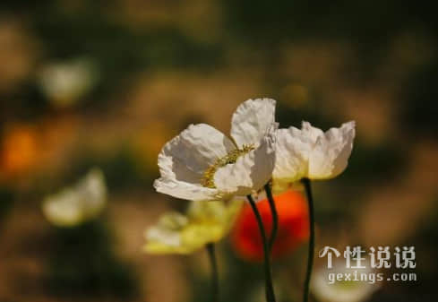 表达豪情壮志的唯美诗句:苟利国家生死以，岂因祸福避趋之
