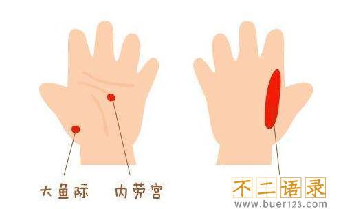 大鱼际的准确位置图片 大鱼际发青是怎么回事图片
