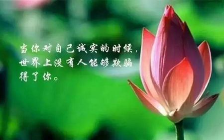 智者与愚者的经典语句 愚者暗于成事 智者见于未萌