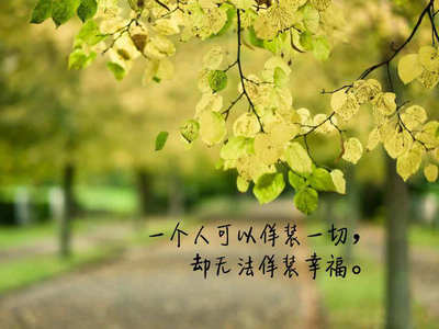 夫妻平淡而幸福的句子 婚姻与爱情无关的名言