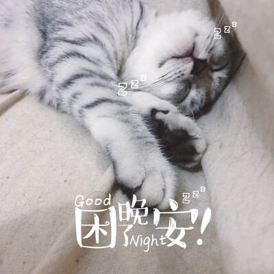 幽默跟男朋友说晚安图片