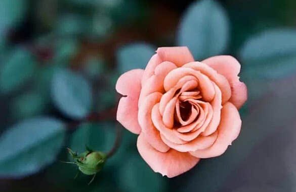晚安唯美句子 晚安经典的朋友圈说说，句句唯美温馨图片
