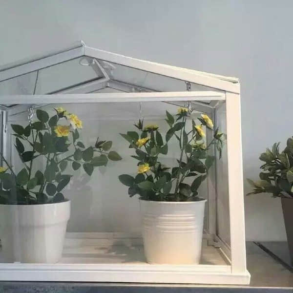 最特别的留言 要想过得不苦就得少点懒惰，要想活得不悔就得少点鲁莽